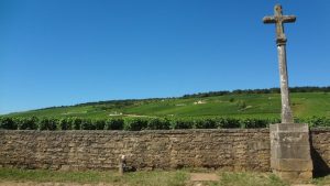 Romanée-Conti vineyard and cross