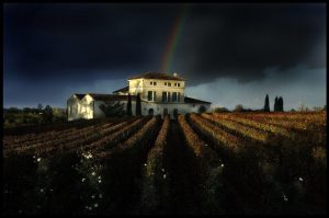 Exterior view of Château Lafleur-Petrus and vineyards