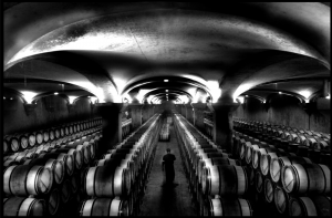 View of barrels in the Château Margaux cellar