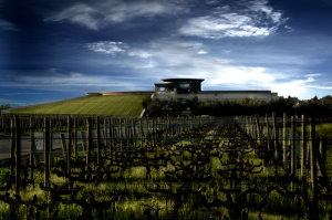 View of Opus One winery and vineyards